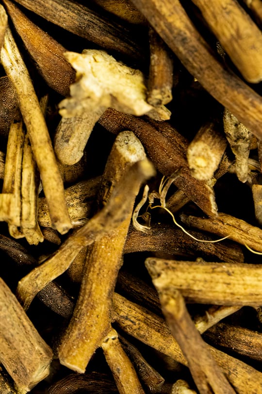 Cynanchum atratum Wurzel Tropfen - Tinktur