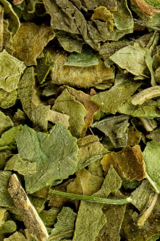 Gurmarblätter