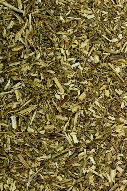 Katzenminze