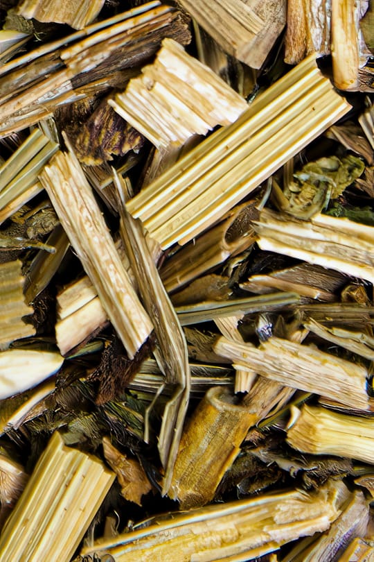 Klettenlabkraut Tropfen - Tinktur