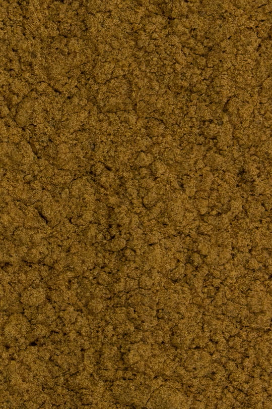 Kolanusspulver
