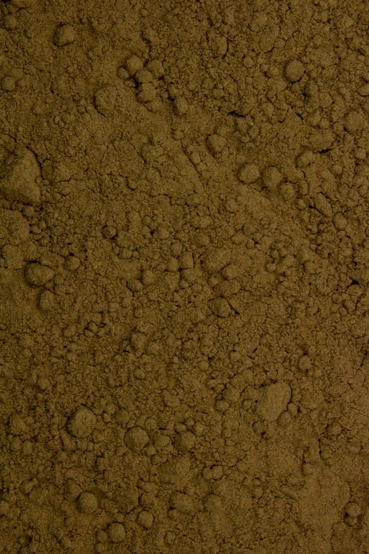 Mandelpilz Pulver Tropfen - Tinktur