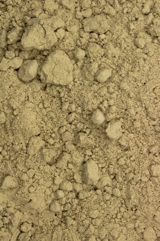 Polyporus Pulver