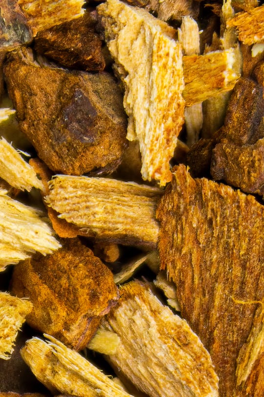 Rosskastanienrinde