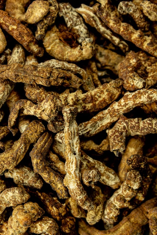 Seidenraupenlarve Salbe