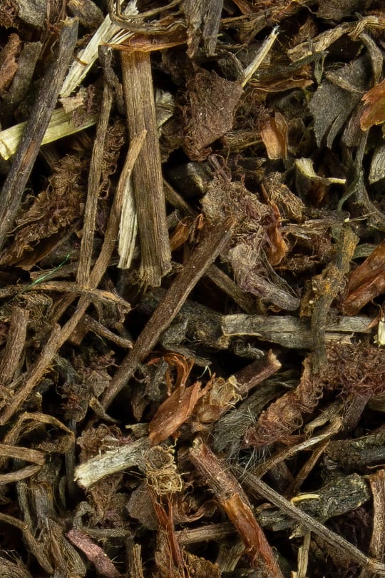Sonnentaukraut