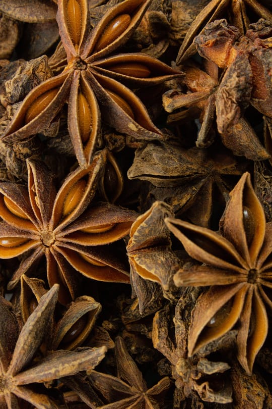 Sternanis