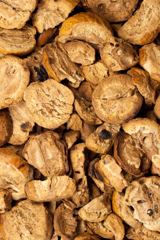 Paternosterbaumfrucht, vorbehandelt
