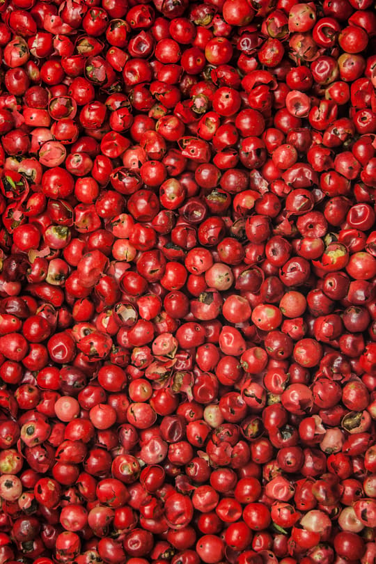 Pfeffer, rosa Tropfen - Tinktur