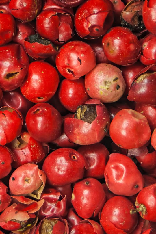 Pfeffer, rosa Tropfen - Tinktur