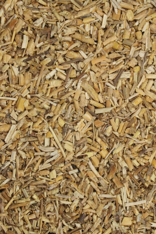 Queckenwurzelstock Tropfen - Tinktur