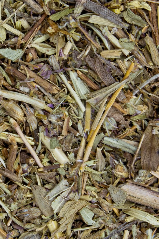 Quendelkraut