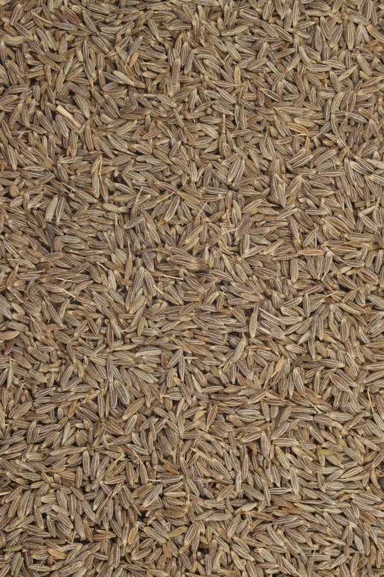 Römischer Kümmel