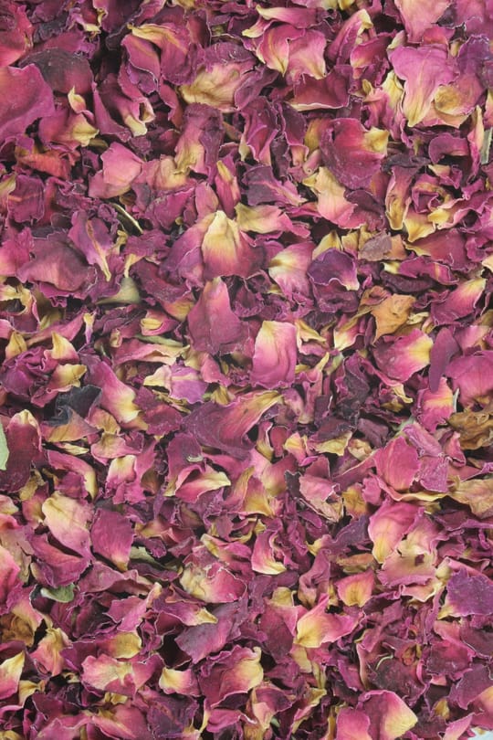 Rosenblüten