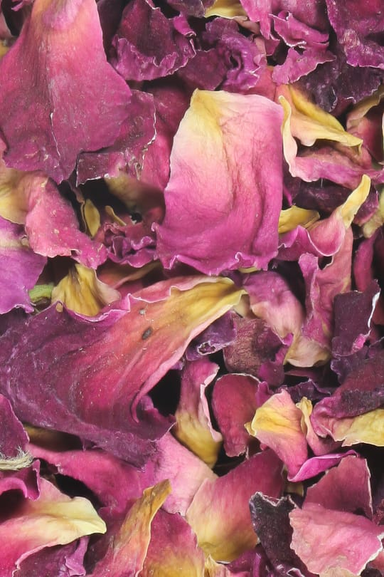 Rosenblüten