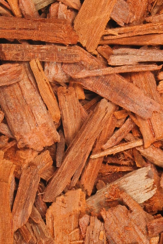 Sandelholz