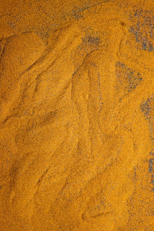Schlingfarnsporen Tropfen - Tinktur