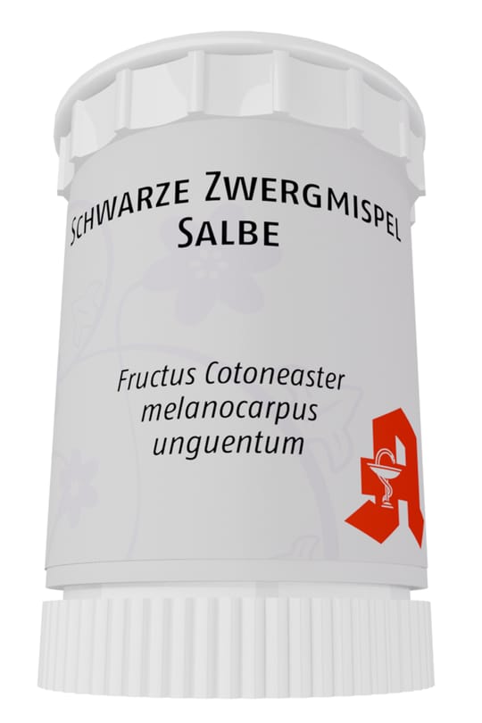 Schwarze Zwergmispel Salbe