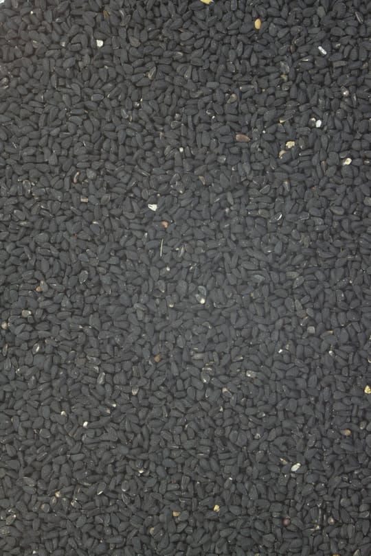Schwarzkümmel Tropfen - Tinktur