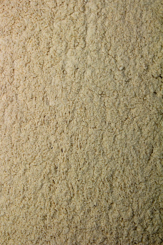 Shiitake Pulver Tropfen - Tinktur