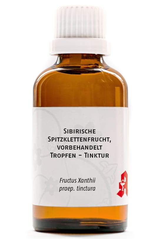 Sibirische Spitzklettenfrucht, vorbehandelt Tropfen - Tinktur