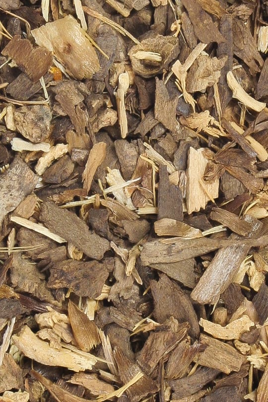 Spargelwurzel