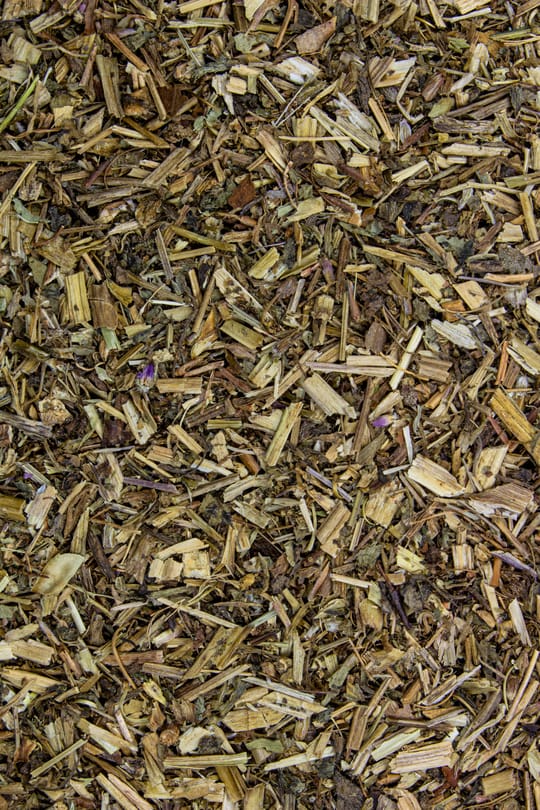 Storchenschnabelkraut