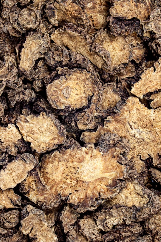 Szechuan Liebstöckelwurzel