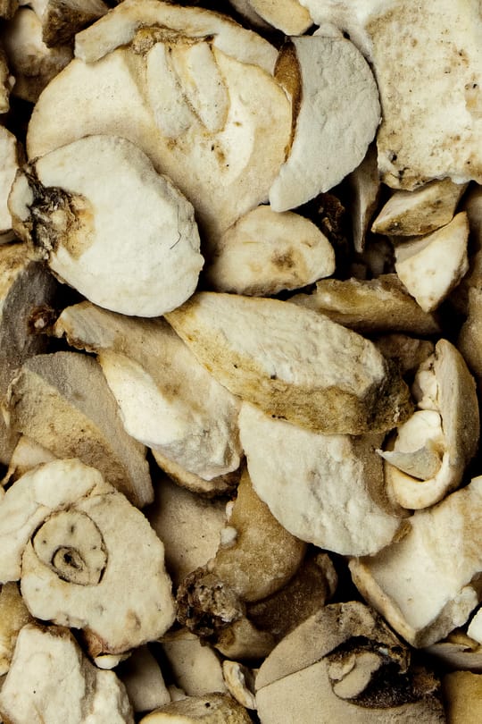 Szechuan Schachblumenzwiebel Salbe
