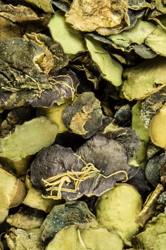 Teichlinsenkraut
