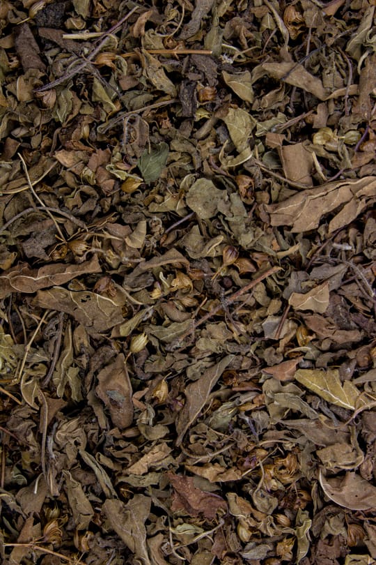 Tulsikraut