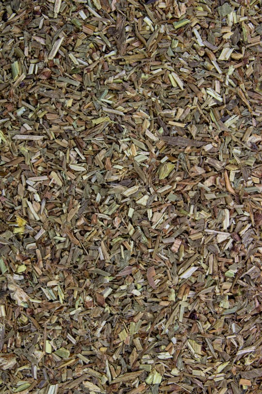 Vogelknöterich