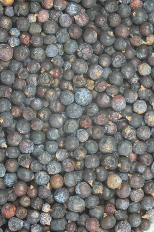 Wacholderbeeren