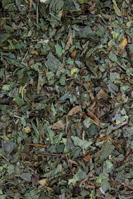 Waldmeisterkraut