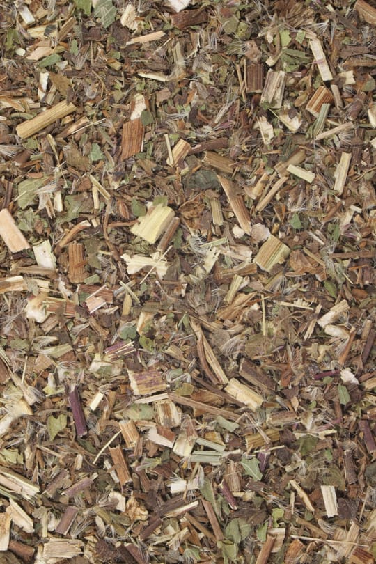 Wasserdostkraut