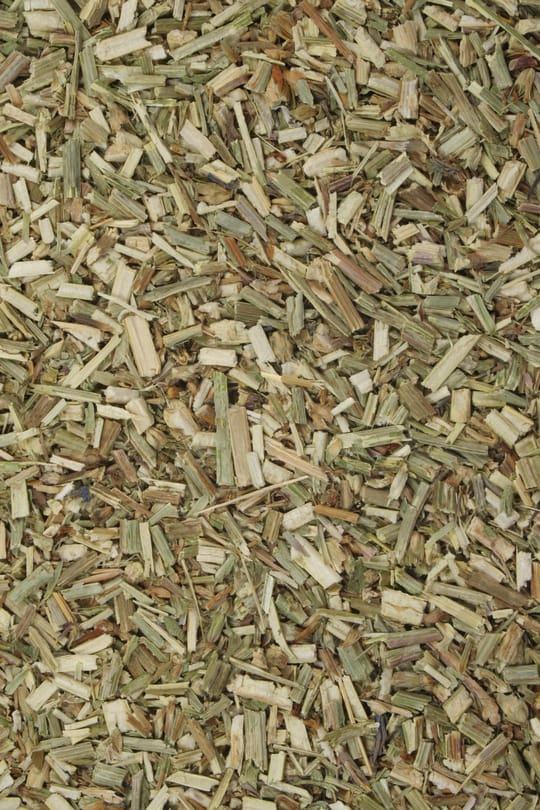 Schlangenknöterichwurzel Salbe