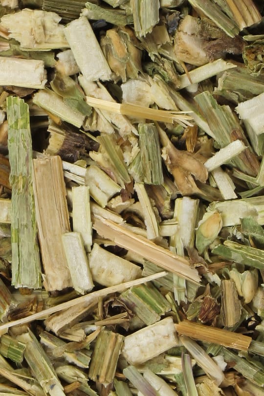 Schlangenknöterichwurzel Salbe