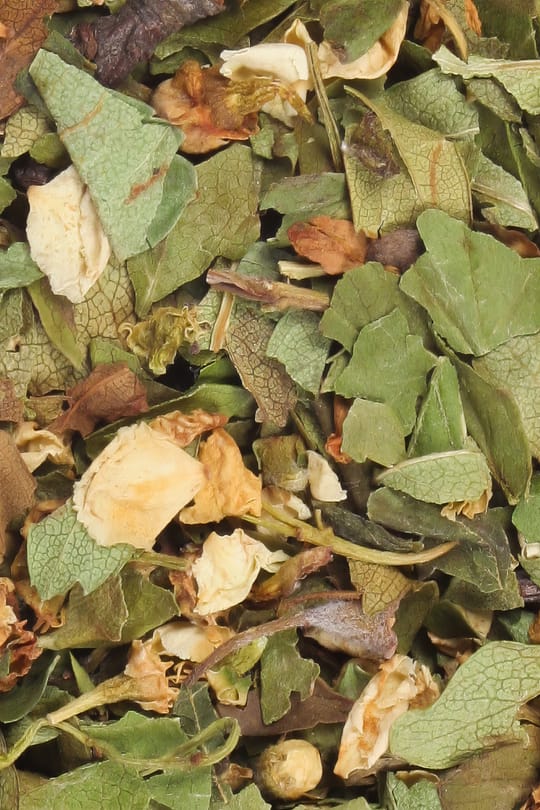 Weißdornblätter m.Blüten Tropfen - Tinktur