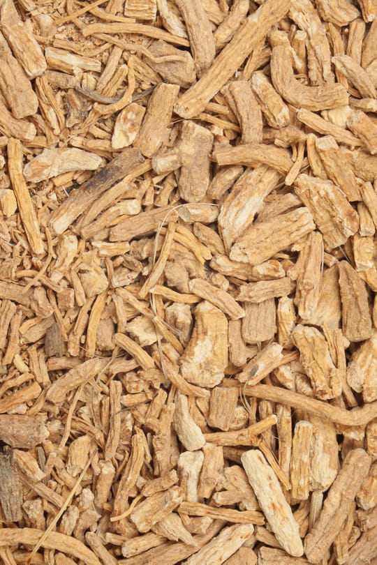 Windschutzwurzel Salbe
