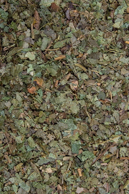 Zaubernußblätter Tropfen - Tinktur