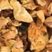 Apfelstücke Tropfen - Tinktur