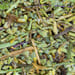 Bruchkraut