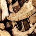 Grasblättrige Kalmuswurzel