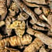 Kreuzblumenwurzel vorbehandelt Tropfen - Tinktur