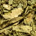 Lobelienkraut