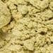 Maitake Tropfen - Tinktur