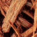 Blauholz Tropfen - Tinktur