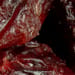 Cranberry