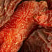 Goji-Beeren