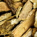 Kaskarillrinde